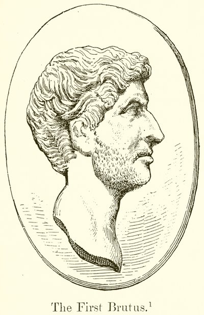 İlk Brütüs by English School