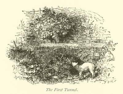 İlk Tünel by English School