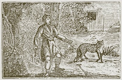 Tilki ve Taşralı (gravür) by English School