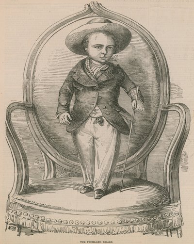 Friesland Cüce by English School