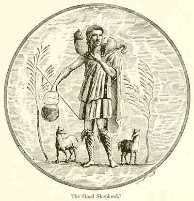 İyi çoban by English School