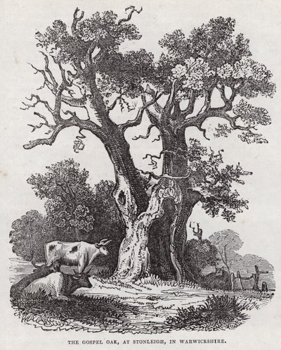 Gospel Oak, Stoneleigh, Warwickshire (gravür) by English School