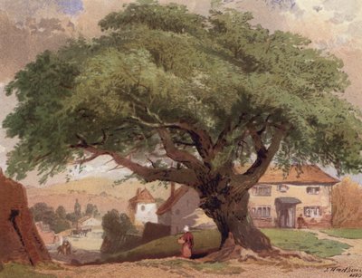 Büyük Kül, Surrey