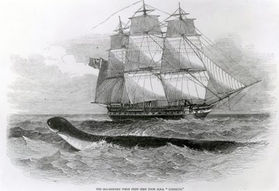 H.M.S.