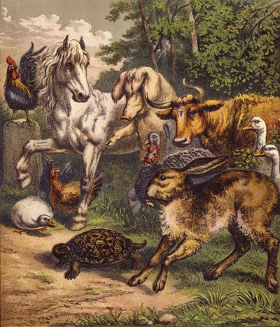 Tavşan ve Kaplumbağa (renkli taş) by English School