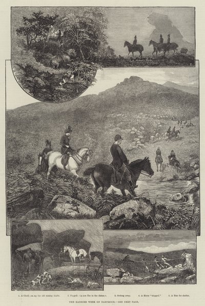 Dartmoor