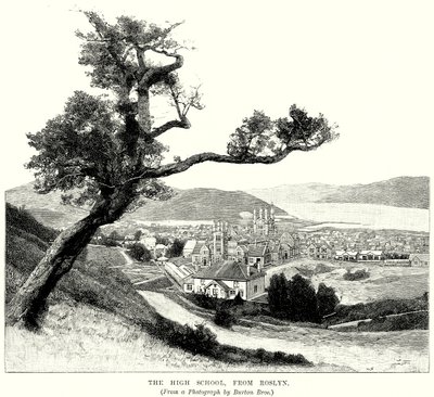 Roslyn