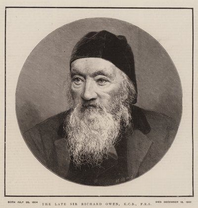 Geç Sir Richard Owen, KCB, FRS (gravür) by English School