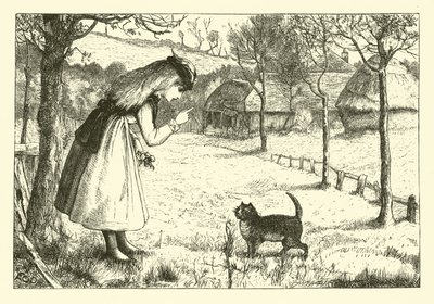 tembel kedi by English School