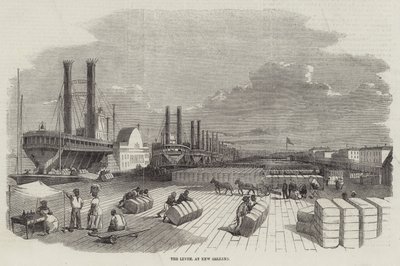 Levee, New Orleans