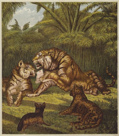 Aslan Resepsiyonu (renkli taş) by English School