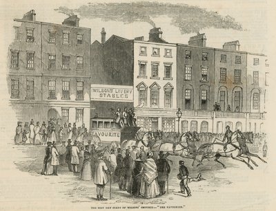 Wilsons Omnibus