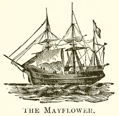 Mayıs Çiçeği by English School