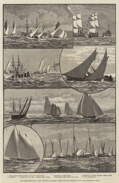 Palma