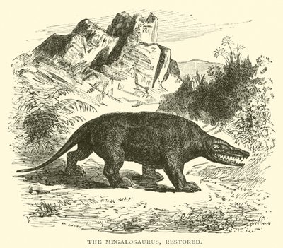 Megalosaurus, restore edilmiş (gravür) by English School