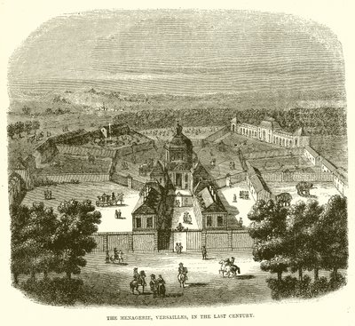 Menagerie, Versailles, Geçen Yüzyılda by English School