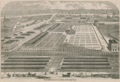 Metropolitan Sığır Pazarı, Kopenhag Fields, Londra by English School