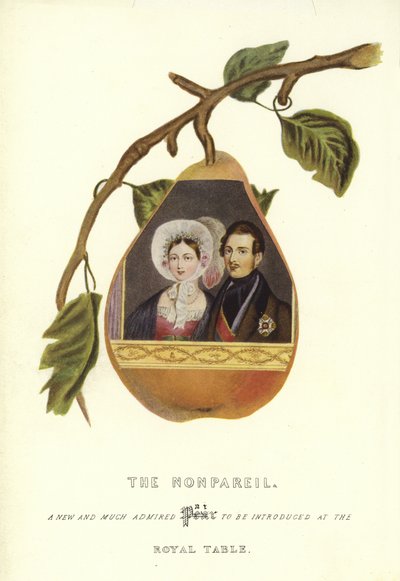 Kraliçe Victoria ve Prens Albert portreleriyle Nonpareil by English School