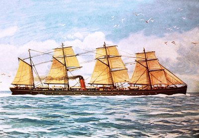 okyanus by English School