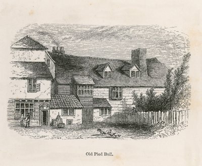 Yaşlı Alaca Boğa (arka) by English School