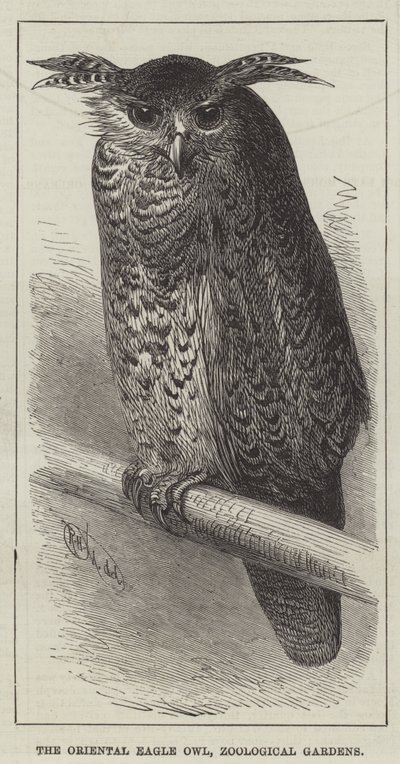 Connaught Dükü, Guildhall