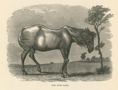 The Ould Mare (gravür) by English School