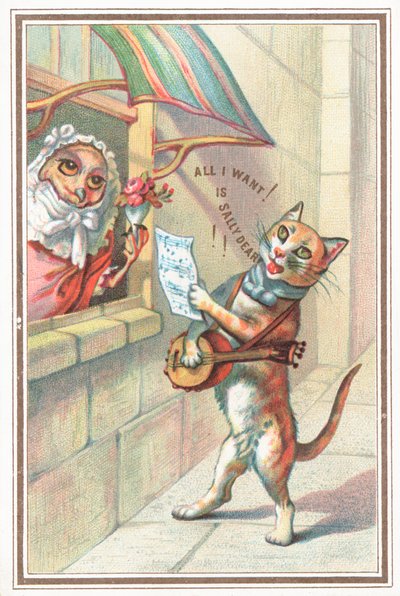 Baykuş ve Pussycat by English School