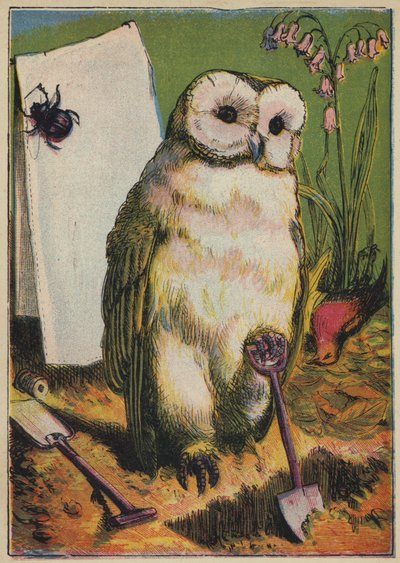 Baykuş, Böcek ve Horoz Robin (renkli taş baskı) by English School