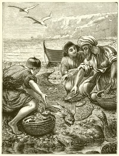 Ağın benzetmesi by English School