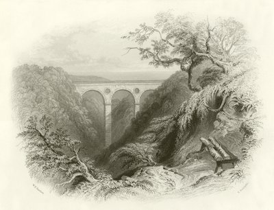 Peaths Köprüsü ve Ravine, Berwickshire by English School