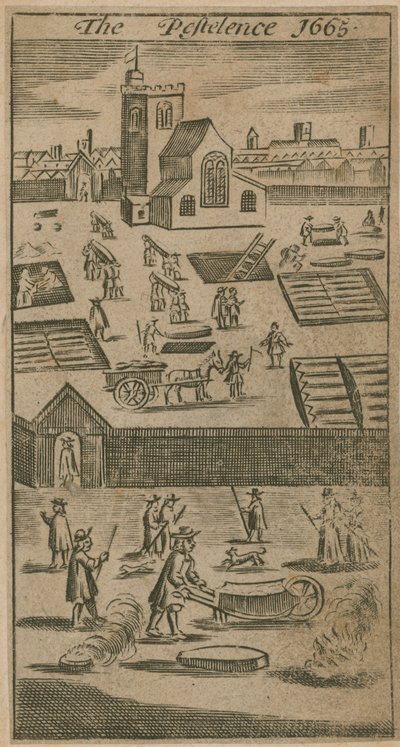 Zararlı 1665 by English School