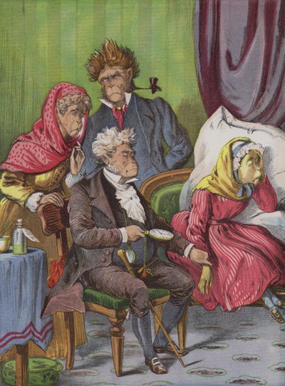 Hekim (kromolitho) by English School