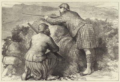 Galler Prensi orman tavuğu yaylalarda ateş ediyor by English School