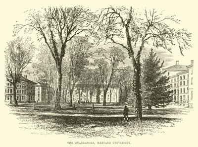 Dörtgen, Harvard Üniversitesi by English School