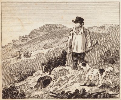 Tavşan Warren (gravür) by English School