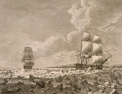 Buzun içinden geçen Yarış Atı ve Karkas, 10 Ağustos 1773, Majestelerinin Komutanlığı Tarafından Üstlenilen Kuzey Kutbuna Doğru Bir Yolculuk 1773, Londra 1774 by English School