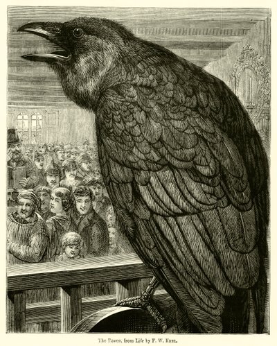 Kuzgun, Yaşamdan (gravür) by English School