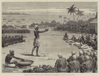 Fiji Adaları