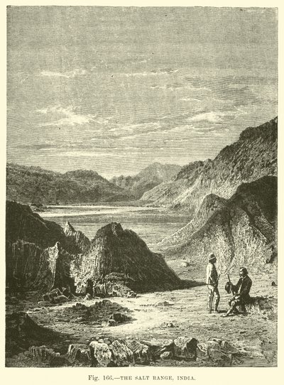 Tuz Aralığı, Hindistan by English School