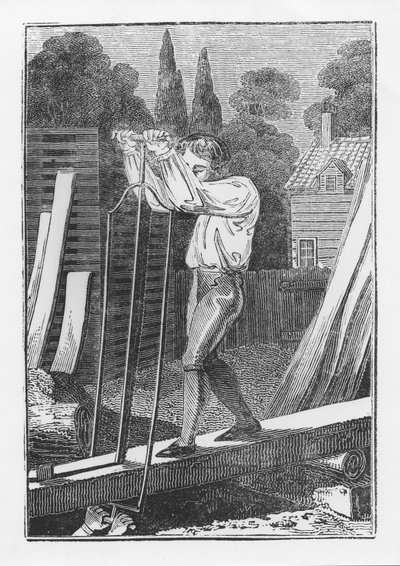 The Sawyer, The Young Tradesman or Book of English Trades, 1839 by English School