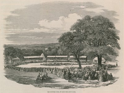 Lord Hollands Park