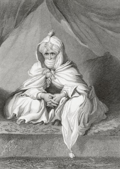 Bornu Şeyhi, 1826 by English School