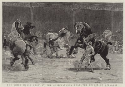 Ziraat Salonundaki Shire At Gösterisi, Alkışların Etkisi (gravür) by English School