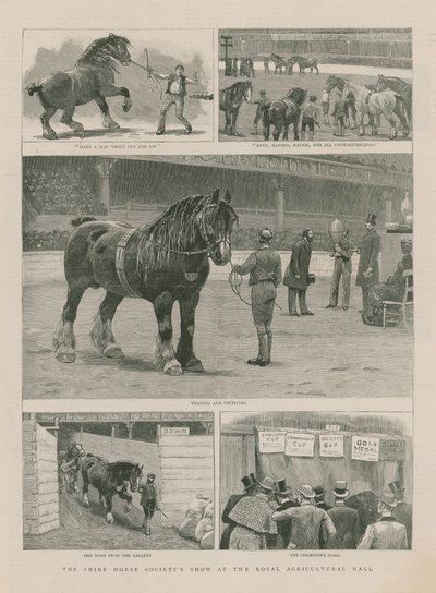 Kraliyet Tarım Salonunda Shire Horse Society gösterisi by English School