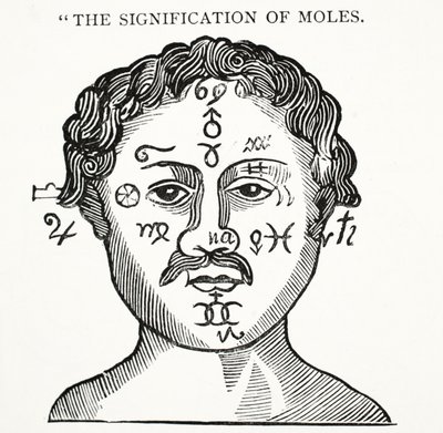 Köstebeklerin Anlamı, John Ashton