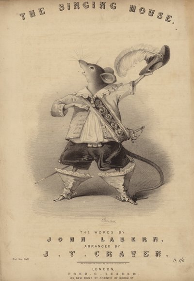 şarkı söyleyen fare by English School