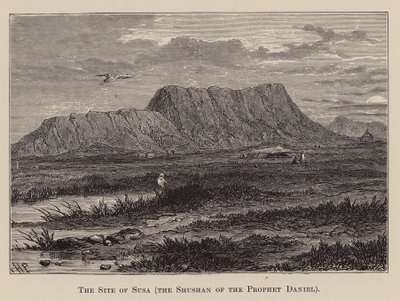 Daniel Peygamber