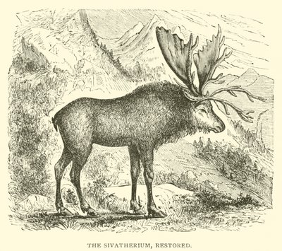 Sivatherium, restore edilmiş (gravür) by English School