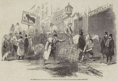 Smithfield Kulübü Sığır Gösterisi, Şişman Koyunun Çarşıya Gelişi (gravür) by English School