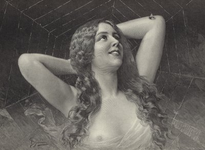Örümcek by English School